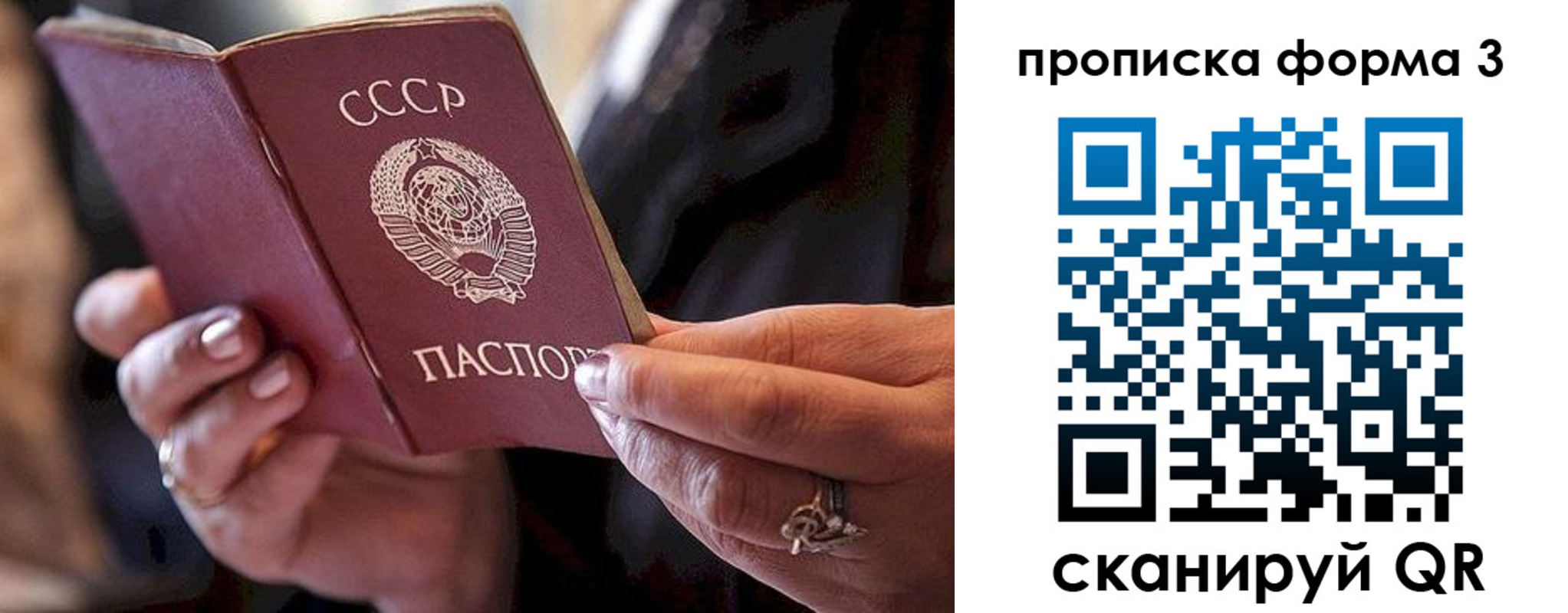 регистрация для школы в Зеленогорске